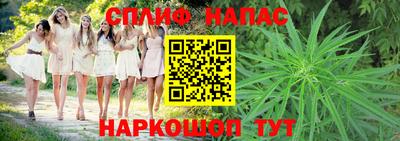 дмт Севастополь