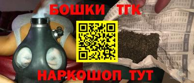 крисы Славгород