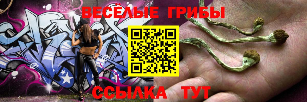Галлюциногенные грибы мицелий  Вход с VPN  Галлюциногенные грибы Magic Shrooms  Протвино 